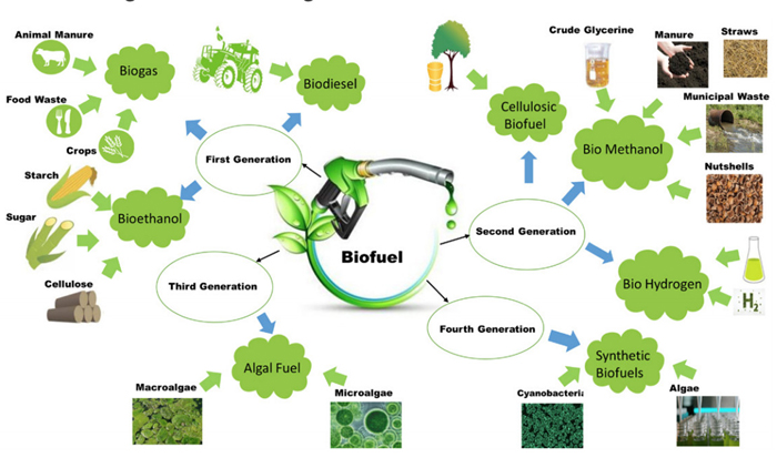 The Pros and Cons of Biofuels