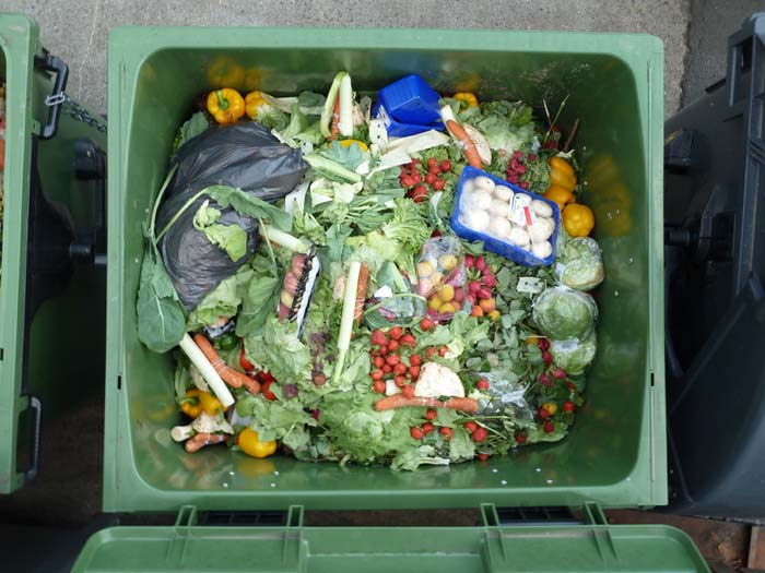 How to Harvest Biogas from Food Waste