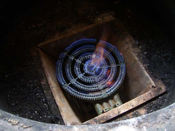 The Characteristics of the Biogas Flames