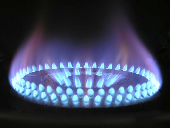 LPG or Biogas - Which is Better?