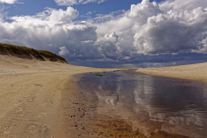 The Difference between River Sand and Filter Sand