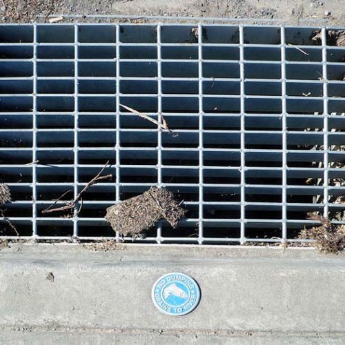 Types of Commercial Drainage Systems