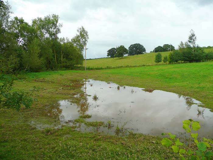 How to Fix a Swampy Area in My Backyard