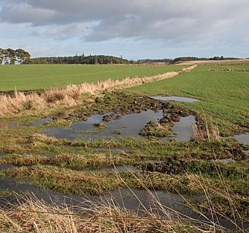 Is a Swale Better Than a French Drain?