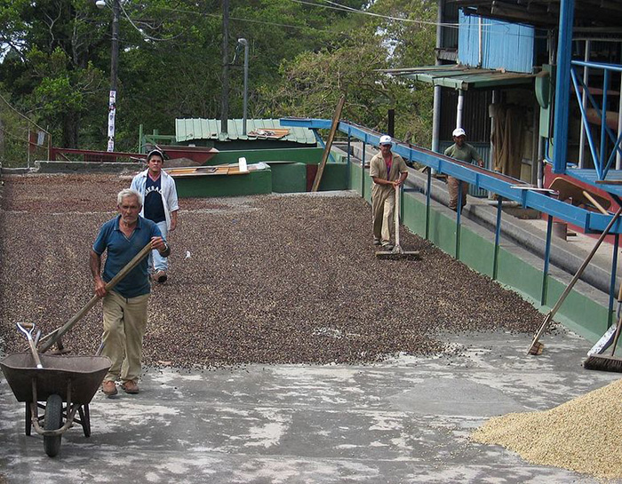 Wastewater Treatment in a Coffee Industry