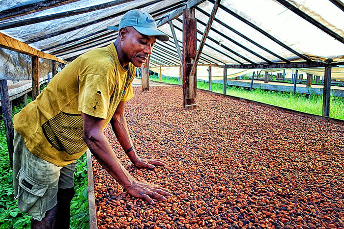 Wastewater Treatment in a Coffee Industry