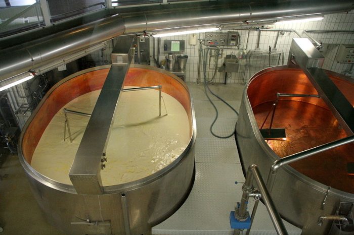 Wastewater Treatment in the Food Industry
