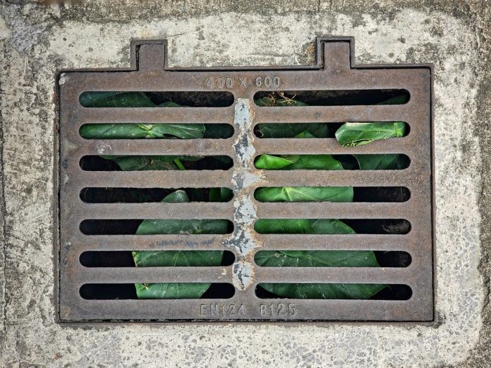 How to Unclog a Drain Naturally