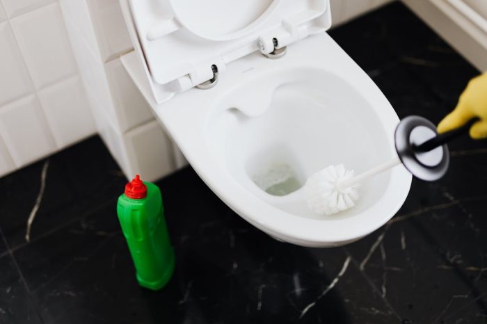 Step-by-Step Instructions to Repair a Running Toilet